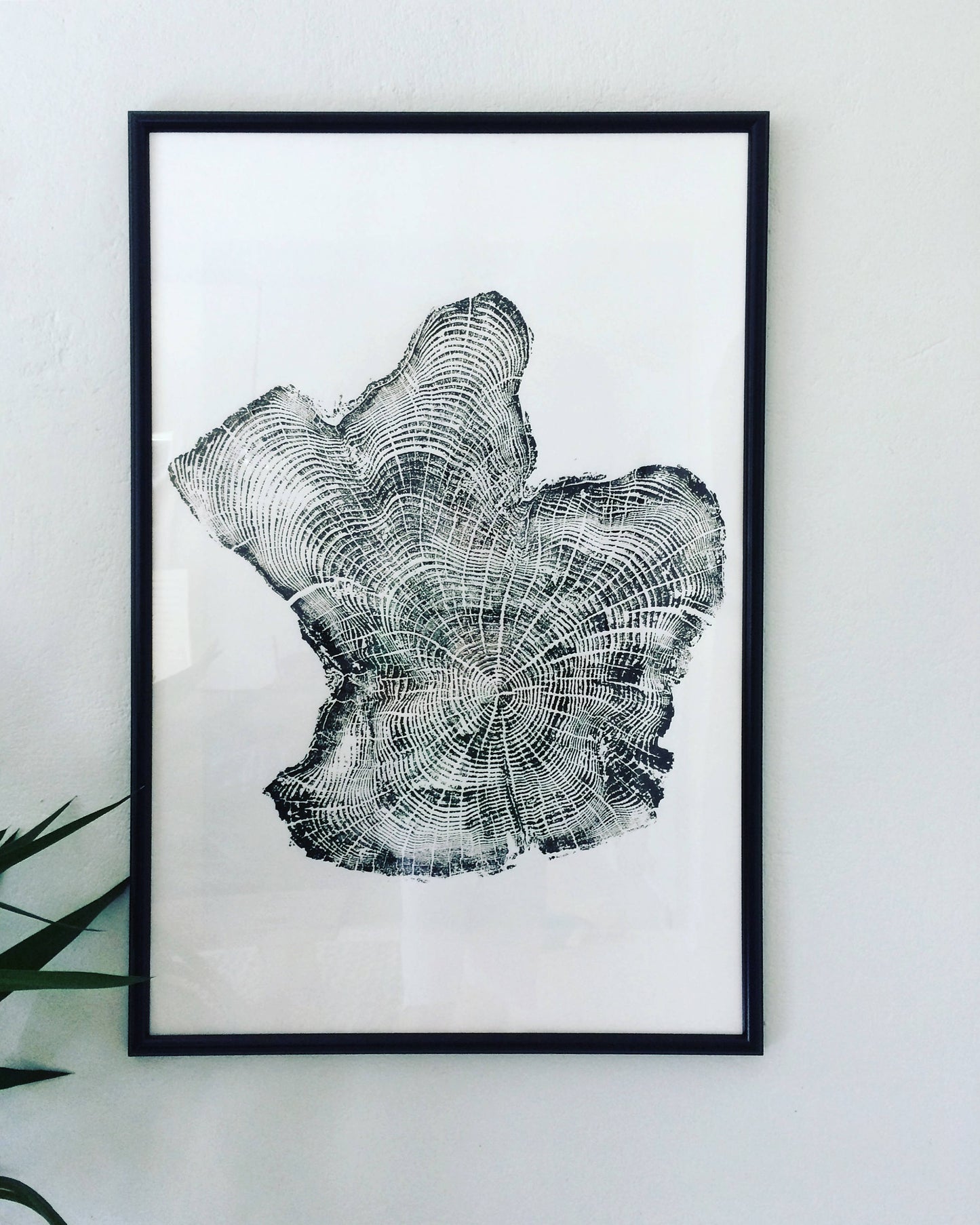 Minimalist Black & White Tree Ring Wall Art – Set of 3